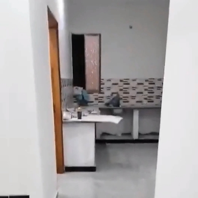 Brand new 2Bed DD flat for rent in Jouhar